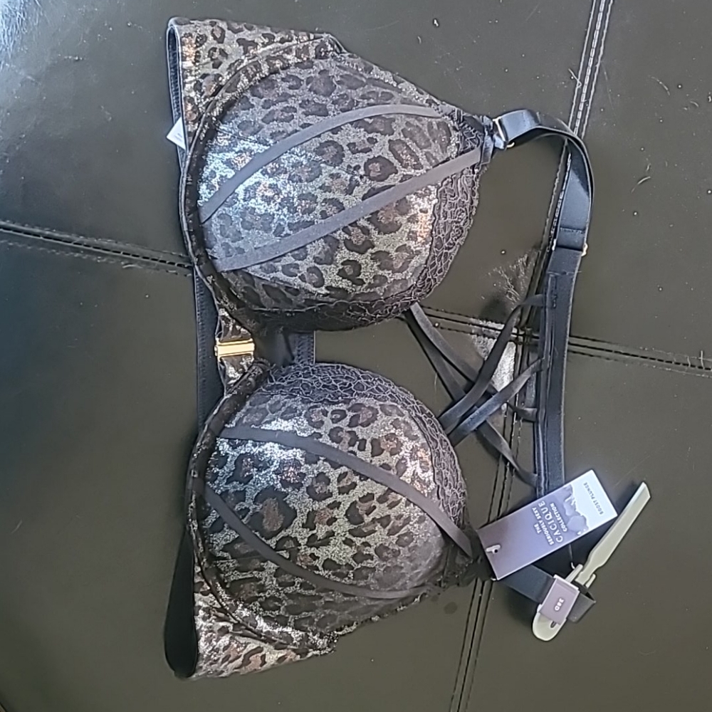Lane Bryant Bra